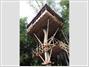Safariland Treehouse Resort
