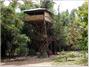 Safariland Treehouse Resort