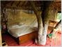Safariland Treehouse Resort