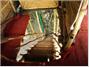 Safariland Treehouse Resort
