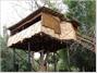 Safariland Treehouse Resort