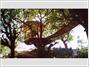 Sanya Nanshan Treehouse Resort and Beach Club