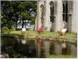 The Old Church of Urquhart