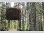 TreeHotel