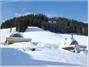 Whitepod