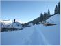 Whitepod