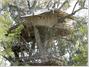 Wild Canopy Reserve