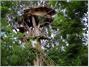 Wild Canopy Reserve