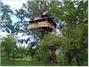 Wild Canopy Reserve