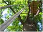 Woodpecker Hotel
