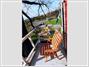 Woodpecker Hotel