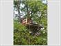 Woodpecker Hotel